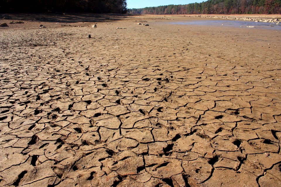 Drought, cracked soil