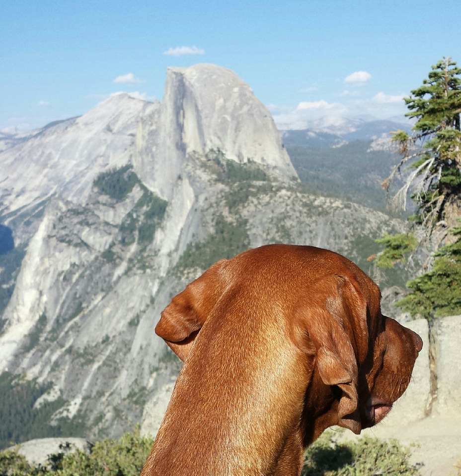 Half dome yosemite yosemite valley