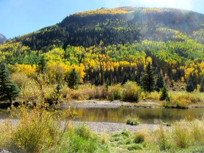 San Miguel River in Autumn