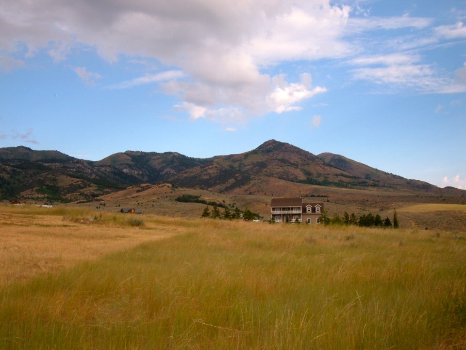 House in the Country