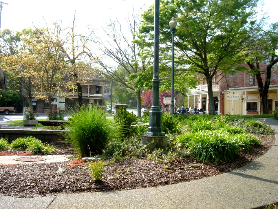 Glen Ellen