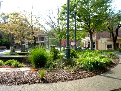Glen Ellen