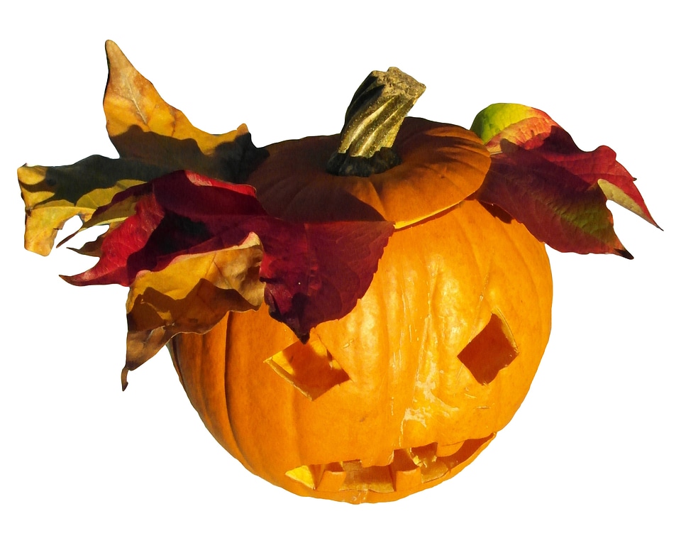 Thanksgiving orange autumn