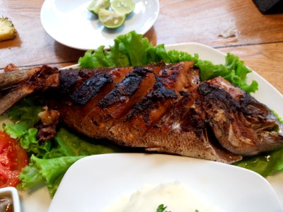 Lecker Schnapper