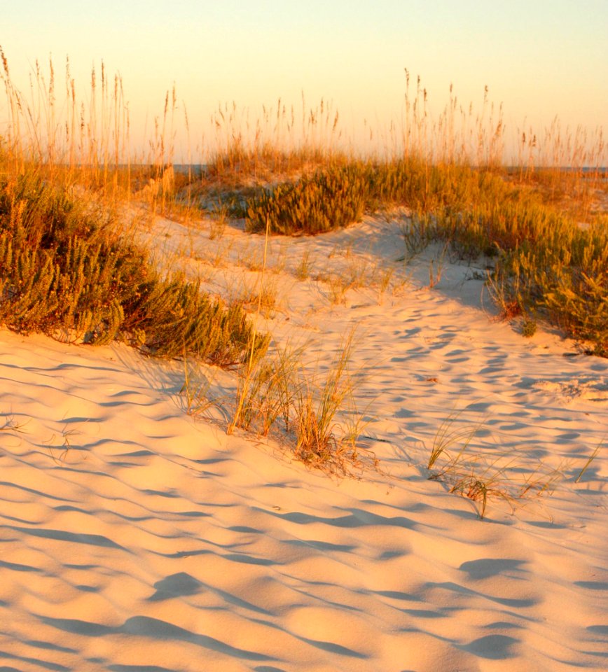 Sand Dunes at Sunset