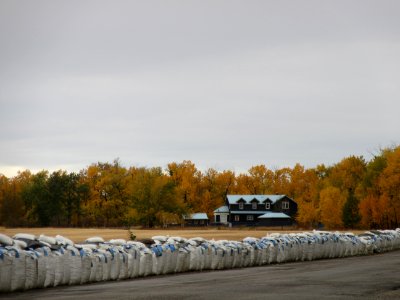 Farmhouse with Wall of Sacks