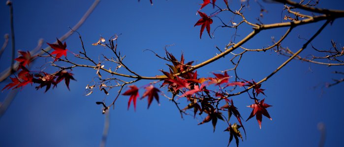 Mizonokuchi, 22nd Nov