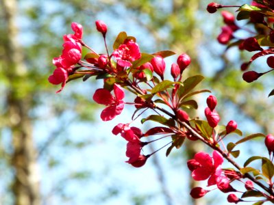 DSCF4073