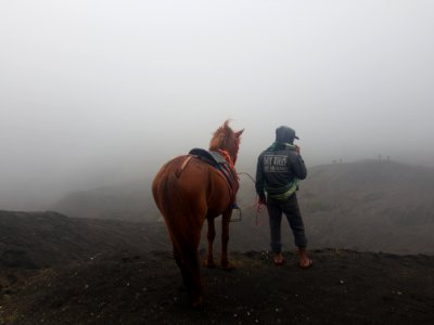 Da steht ein Pferd im Vulkan