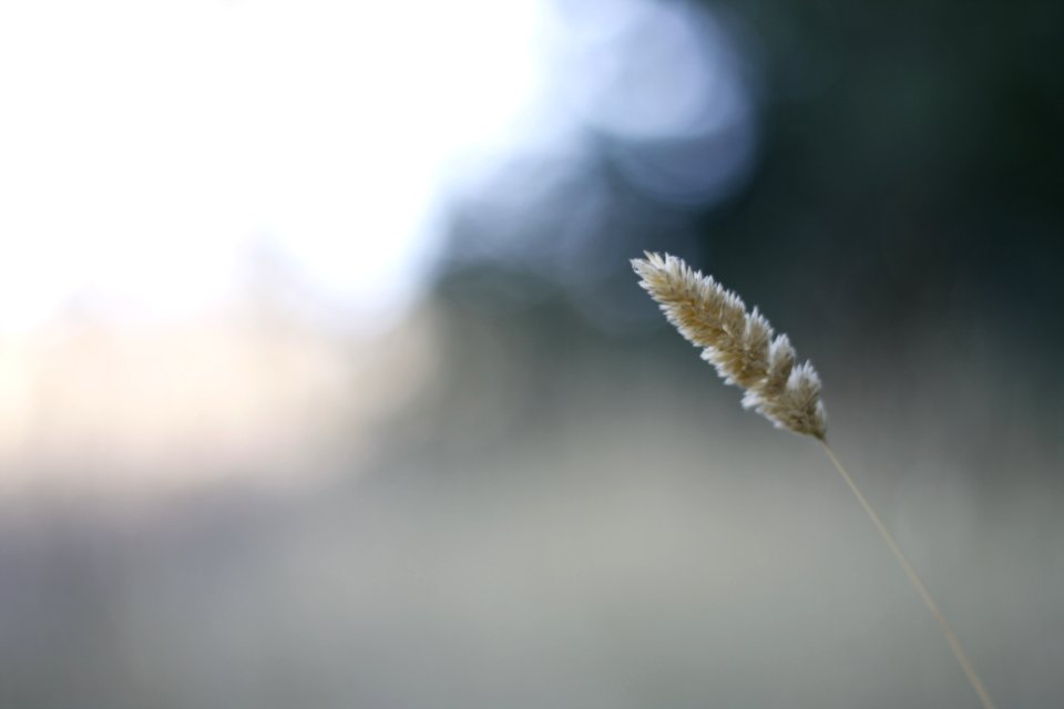 Aspiration for the bright future...