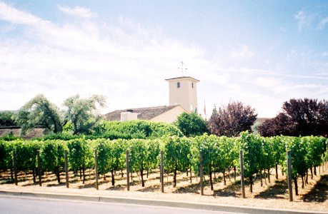 Robert Mondavi Winery