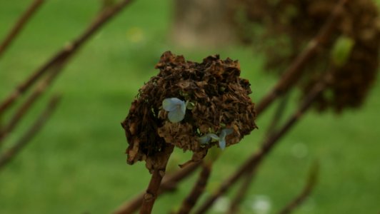 P1010831