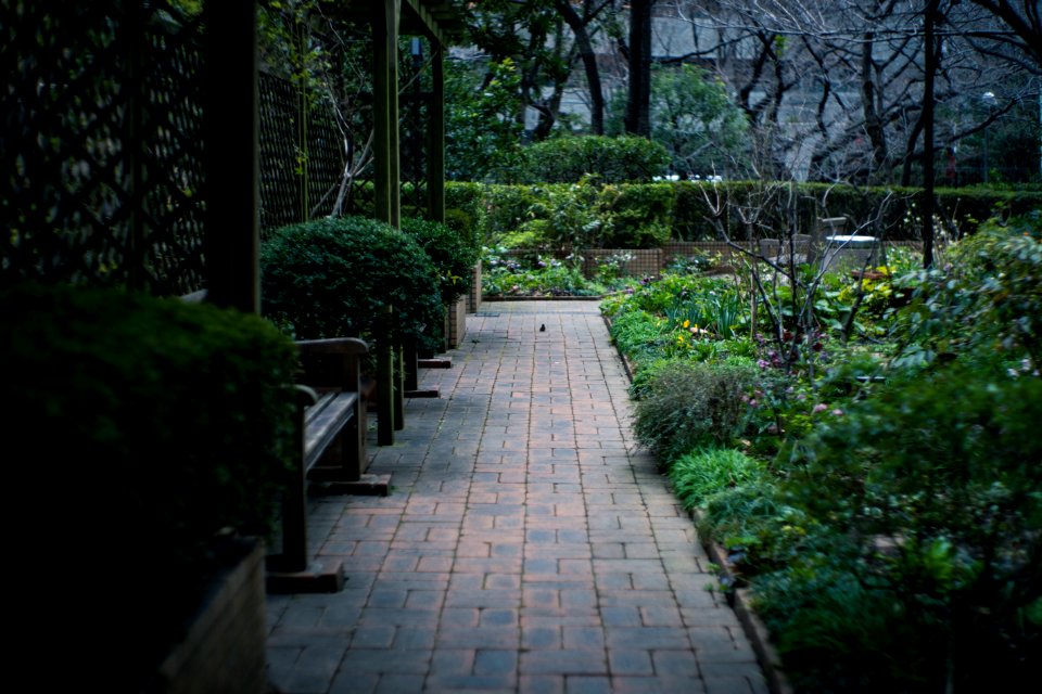 Akasaka Tokyo, 26th Feb