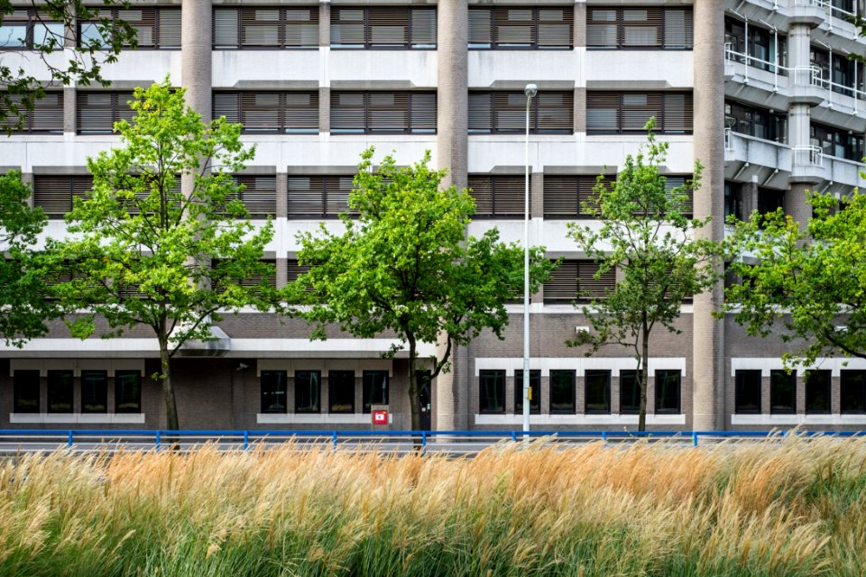 Ministerie van Buitenlandse Zaken, Den Haag