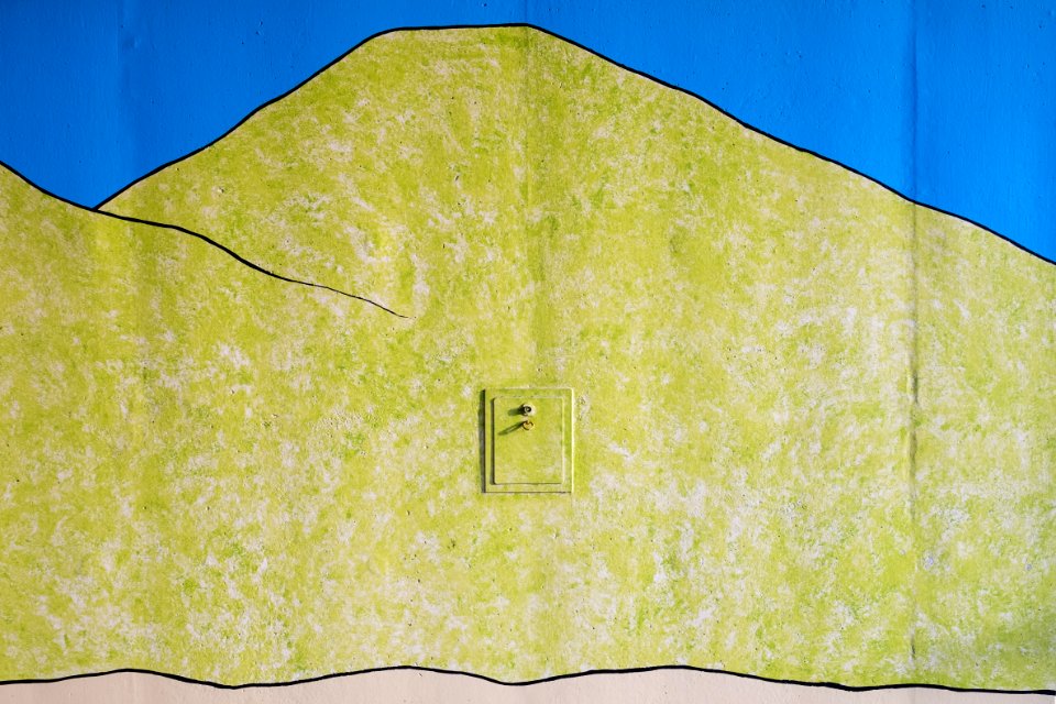 Found Landscape (Duinen)