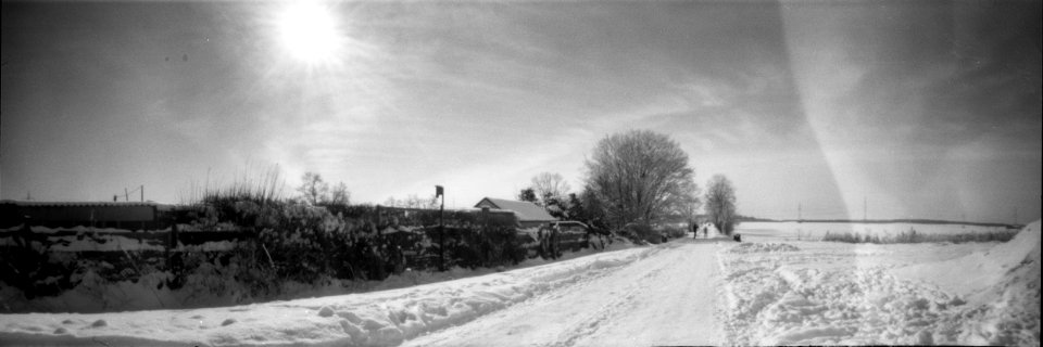 Country Lane - Pinhole