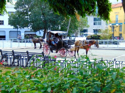 Havana. Old Carriage III