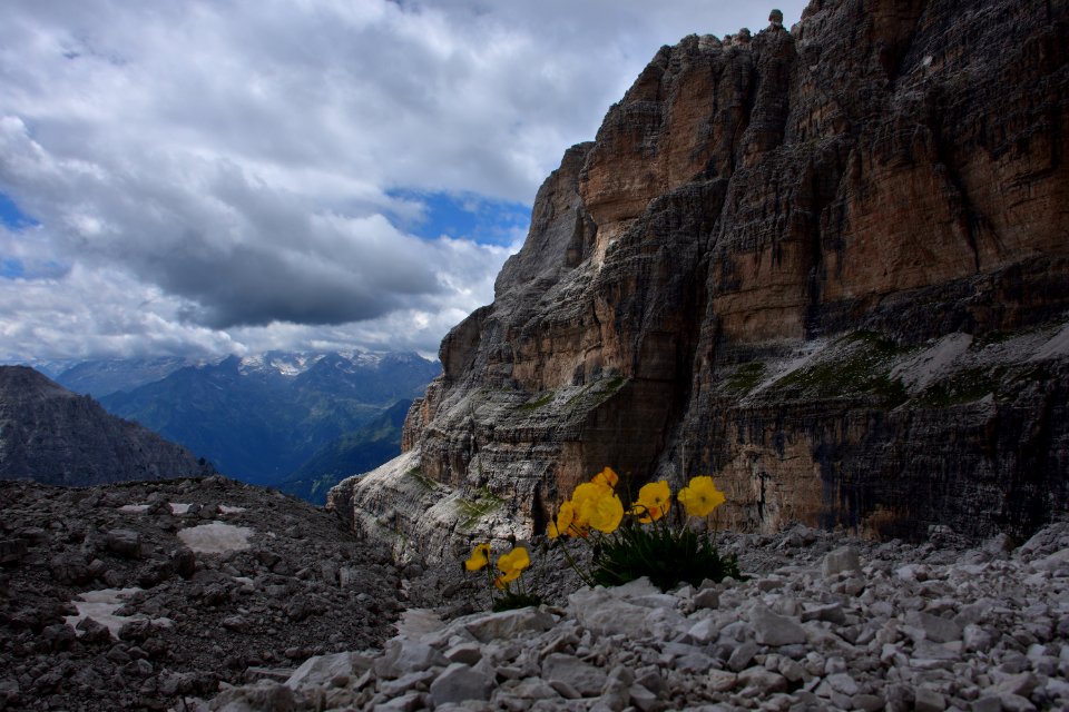 Dolomiti del Brenta