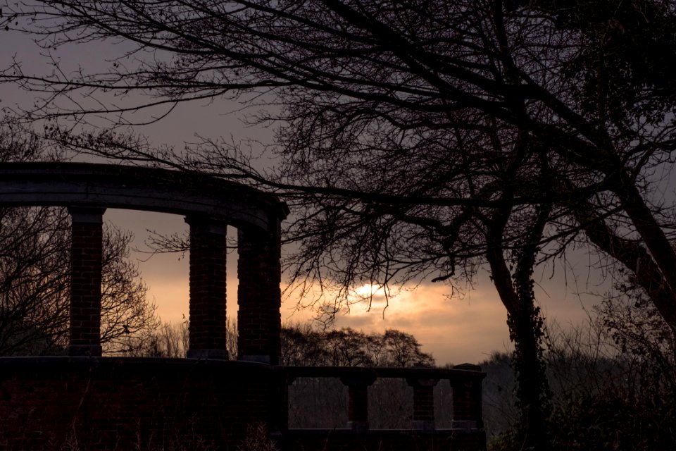 Solstice Evening