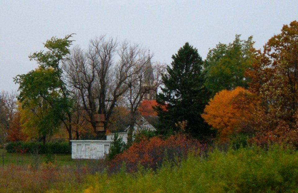 Minnesota tree houses