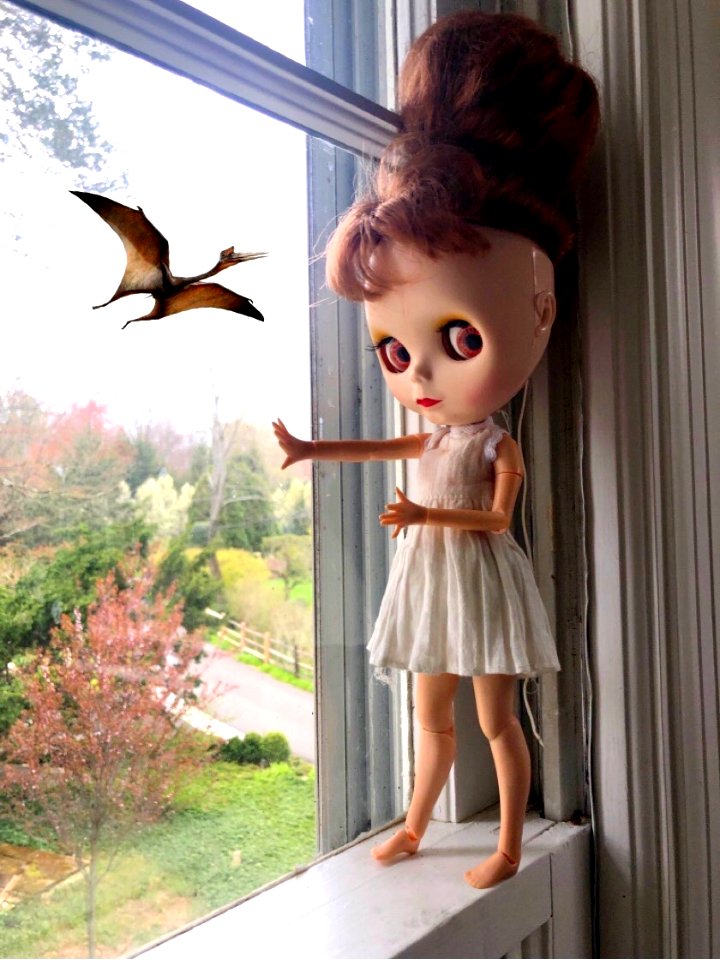 Window View - Blythe sees a pretty birdie!