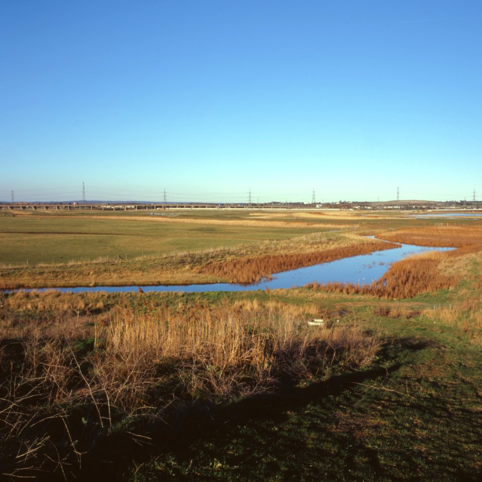 Thurrock, Essex