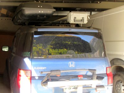 Leaves Reflected in SUV Window