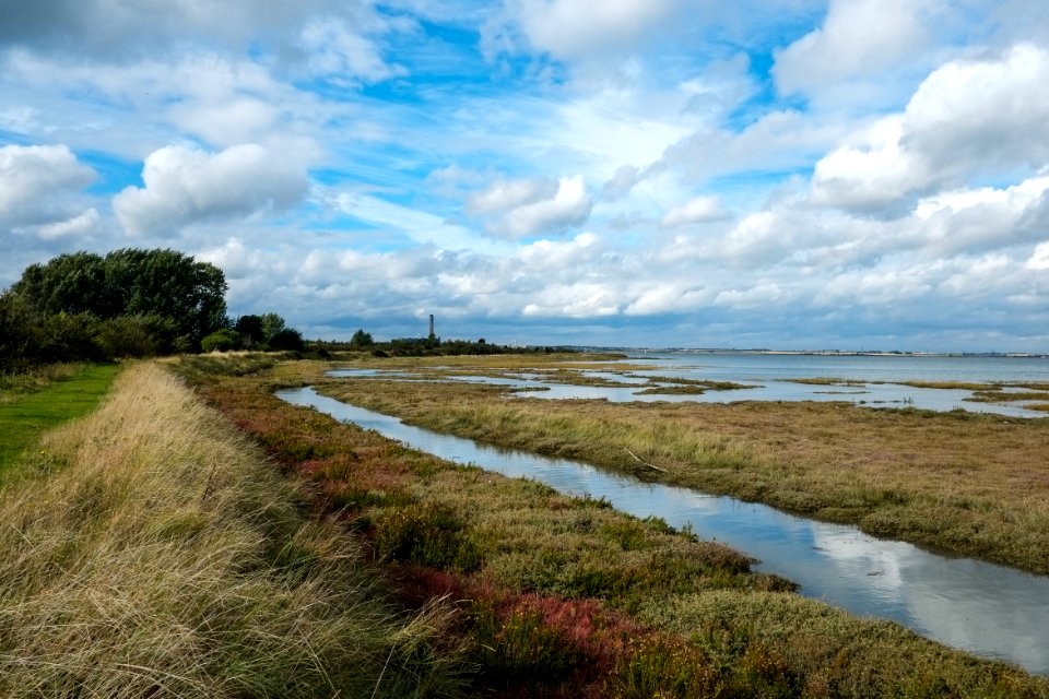 Near Otterham Creek, River Medway
