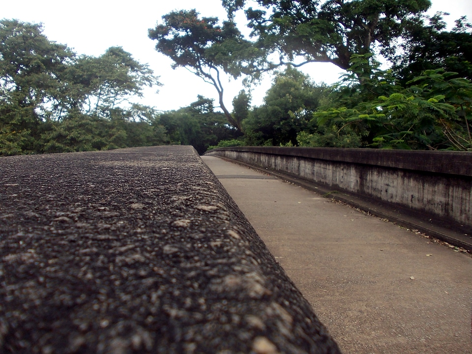 Peradeniya old aged