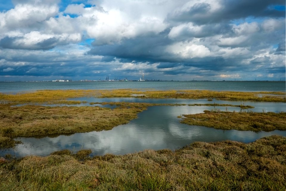 Bartlett Creek, River Medway