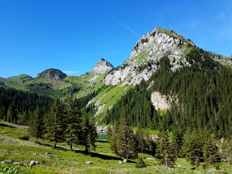 Fronalpstock / Schijenstock (Kanton Glarus)
