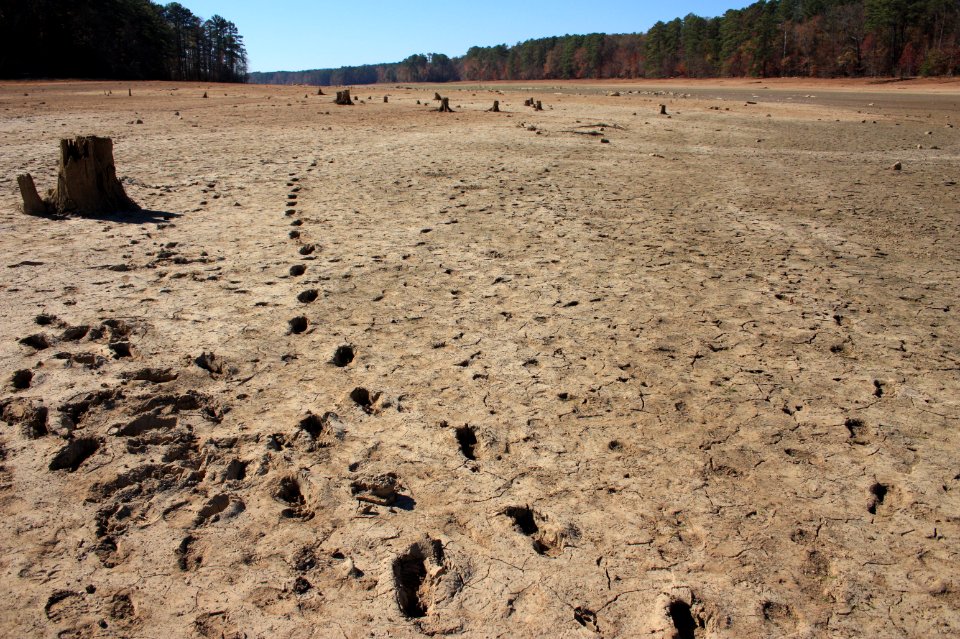Drought