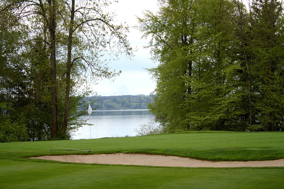 Green sand trap grass