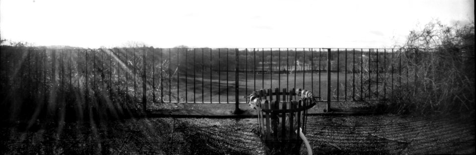 Sunny Christmas Morning - Pinhole