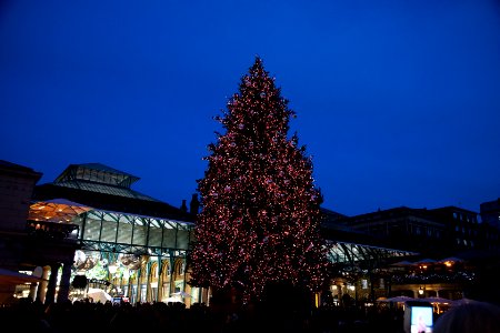 Christmas tree at Covent Garden