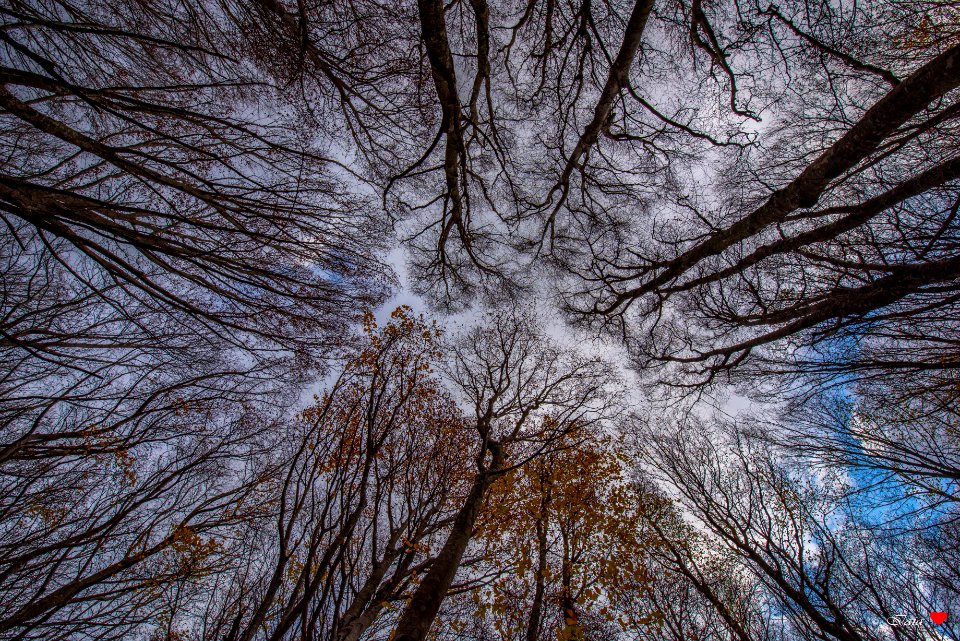 Stretching fino a toccare il cielo