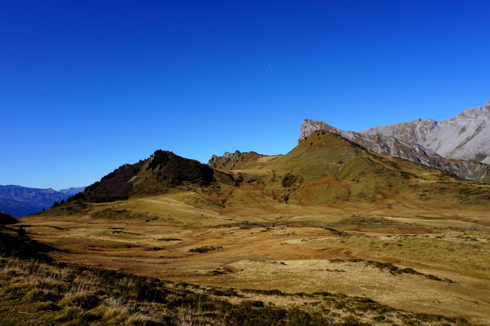Jeninser Alp (Graubünden)
