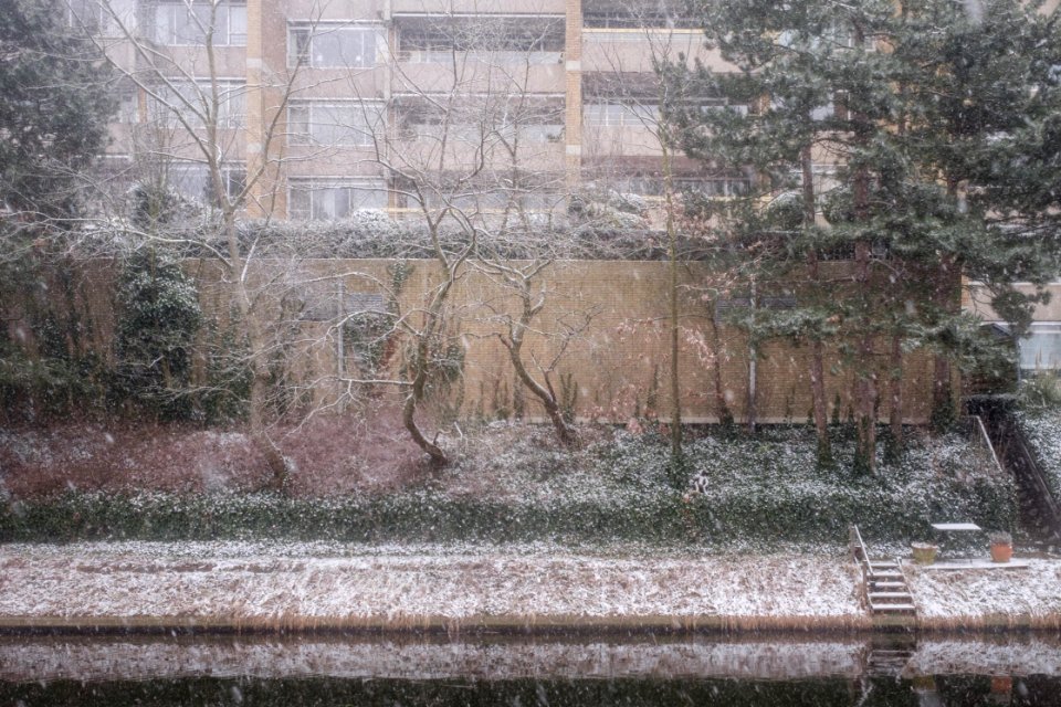Haringkade, Den Haag