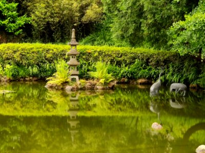 Japanese Tea Graden SF 2