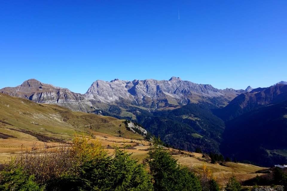 Sadreinegg (Graubünden). Sadrein, Schesaplana.