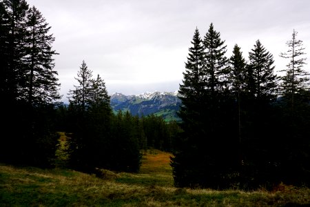 zwischen Halbegg und Furggelenstock (Kanton Schwyz) photo