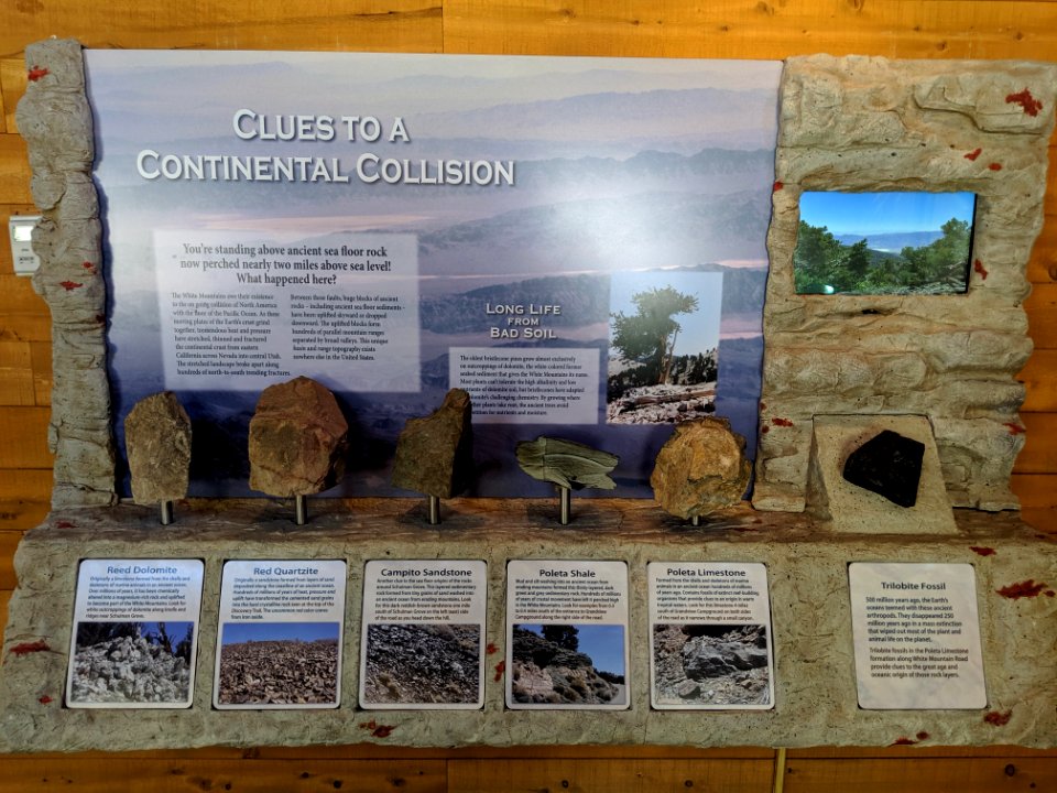 As a geological ignoramus, I really appreciate displays like this.