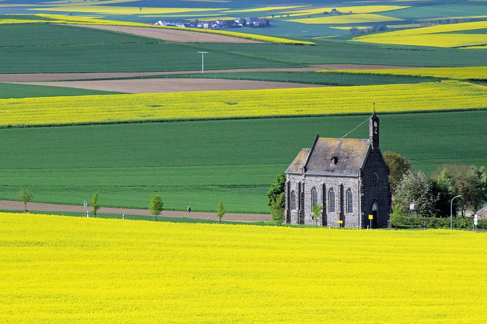 Yellow landscape church