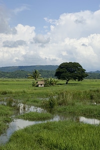 Clouds mountains forest