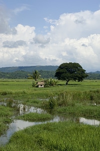 Clouds mountains forest photo