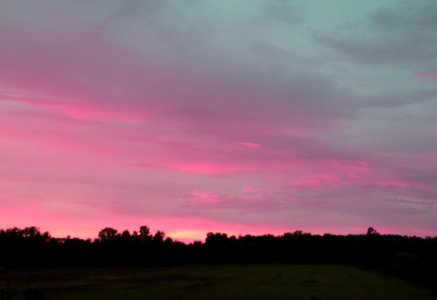 maximum pink, more than you'd think, ... the one