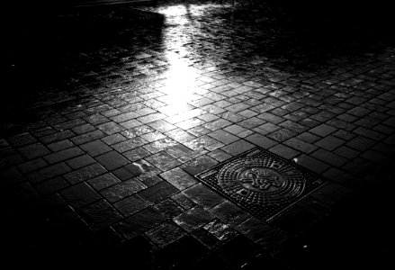 Rainy Day in Braunschweig III
