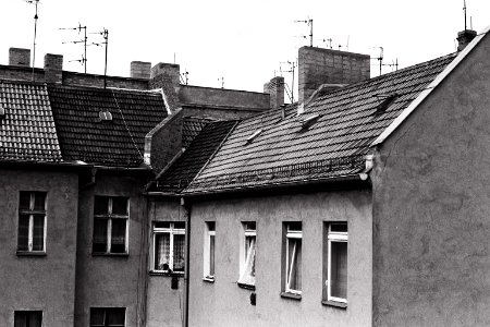 hinterhof schivelbeiner 2