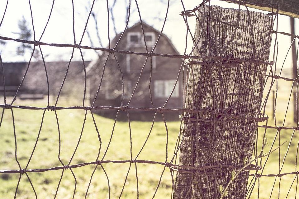 Barn fence wire mesh