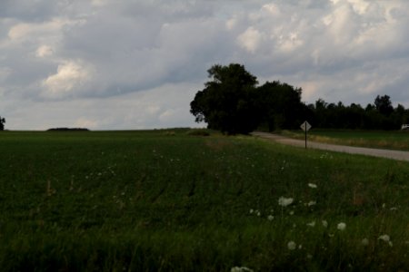 farmer's field